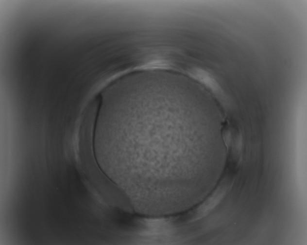 X0000089741422200706281559