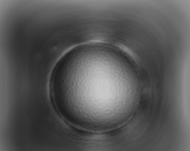 X0000089741423200706281559
