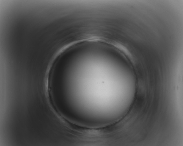 X0000089741424200706281559