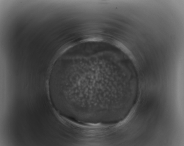 X0000089741425200706281559