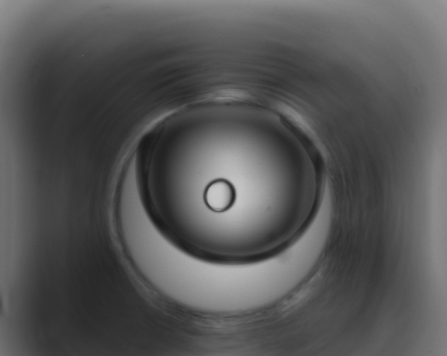 X0000089741426200706281559