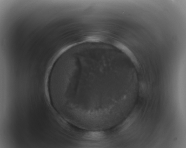 X0000089741427200706281559