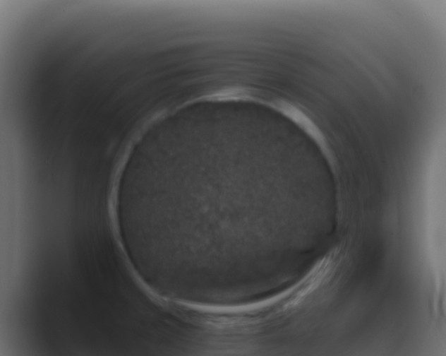 X0000089741429200706281559