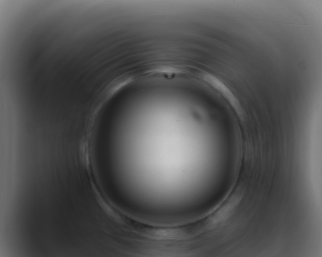 X0000089741433200706281559