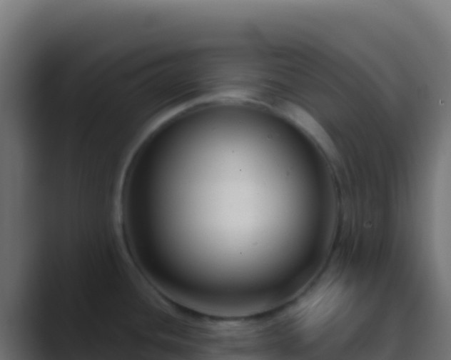 X0000089741436200706281559