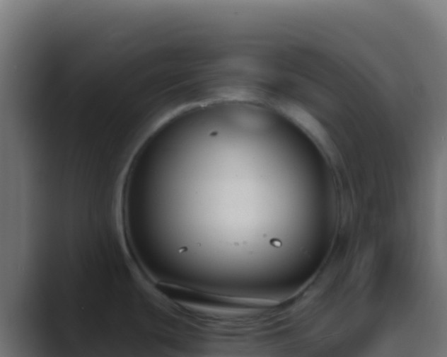 X0000089741439200706281559
