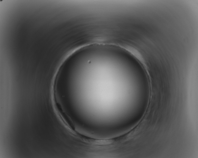 X0000089741440200706281559