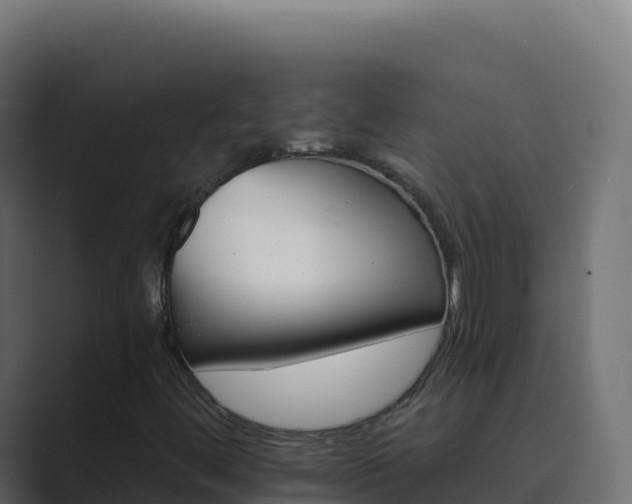 X0000089741444200706281558