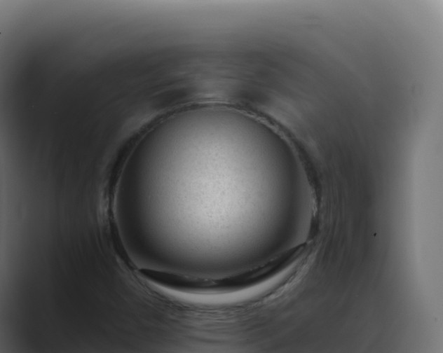X0000089741450200706281558