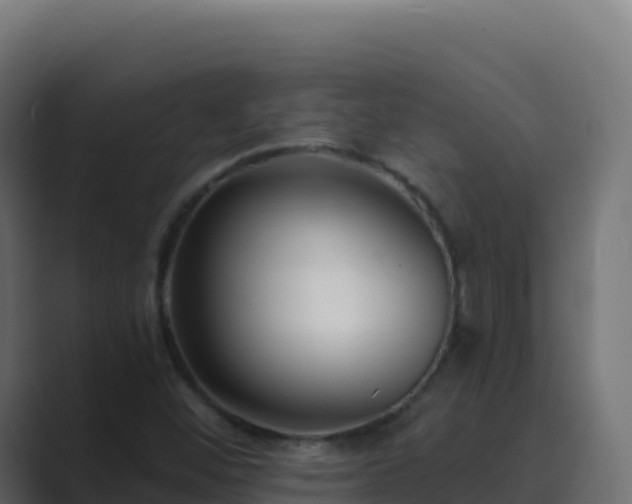X0000089741452200706281558
