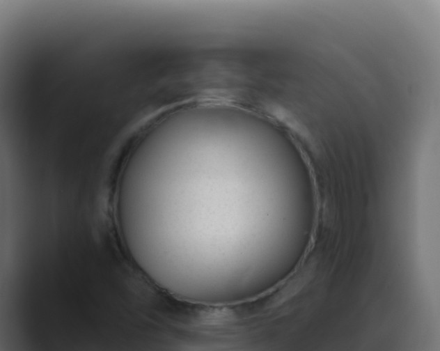 X0000089741454200706281558