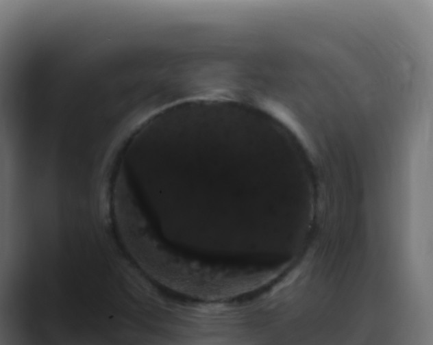 X0000089741455200706281558