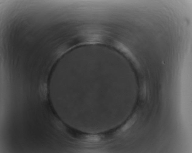 X0000089741457200706281558