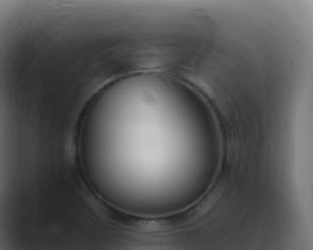 X0000089741458200706281558
