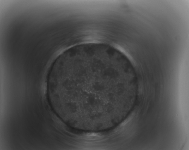 X0000089741459200706281558