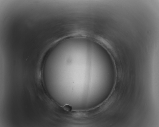 X0000089741462200706281558