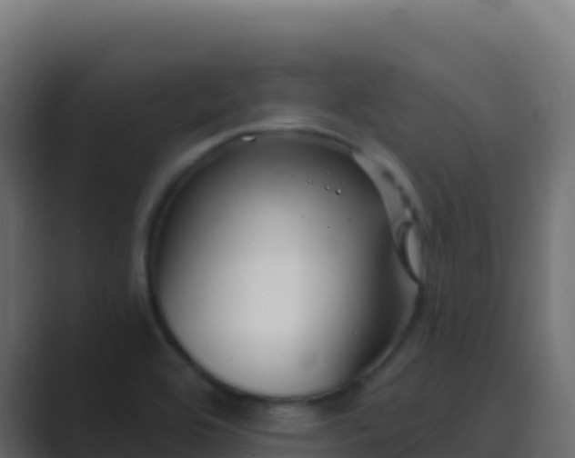 X0000089741464200706281558