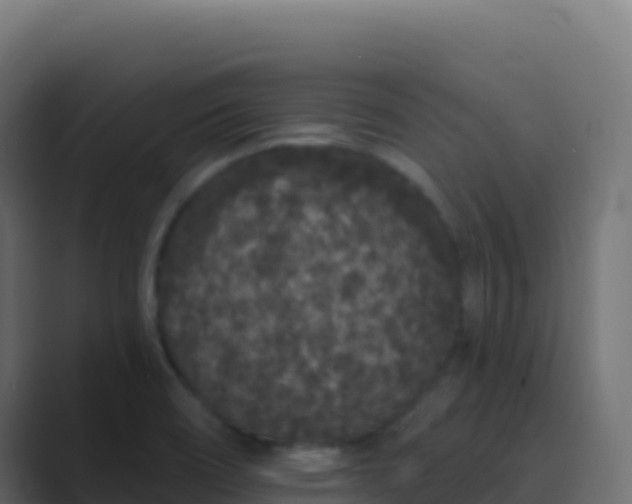 X0000089741466200706281558