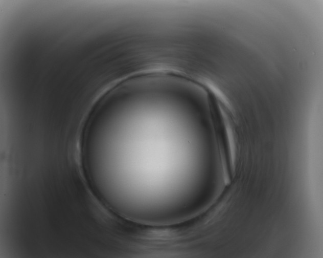 X0000089741468200706281558
