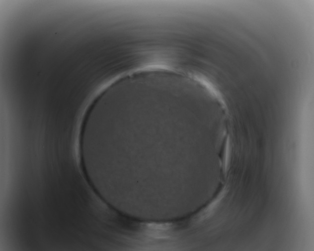 X0000089741469200706281558