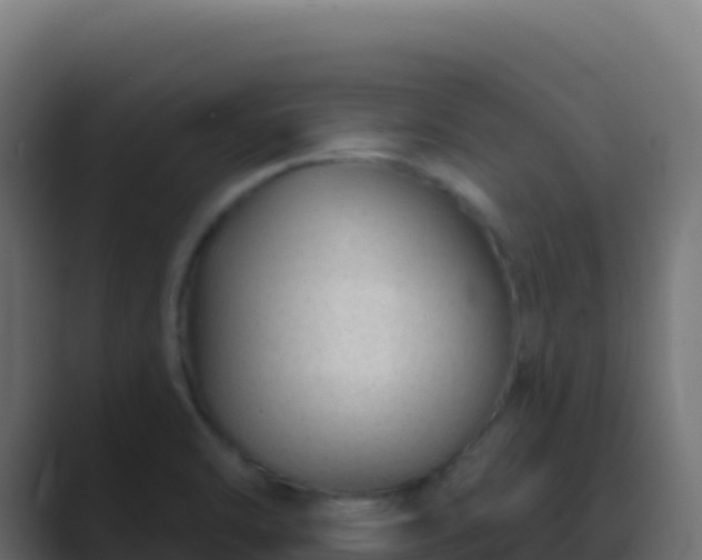 X0000089741470200706281558
