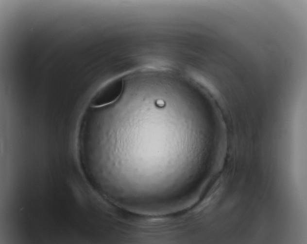 X0000089741471200706281558