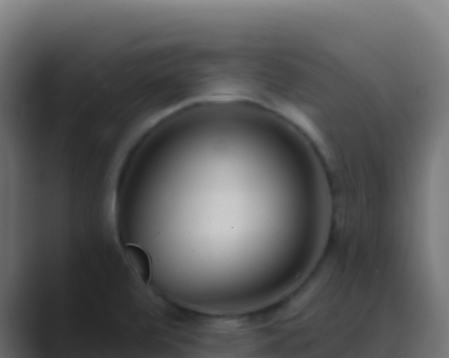 X0000089741472200706281558