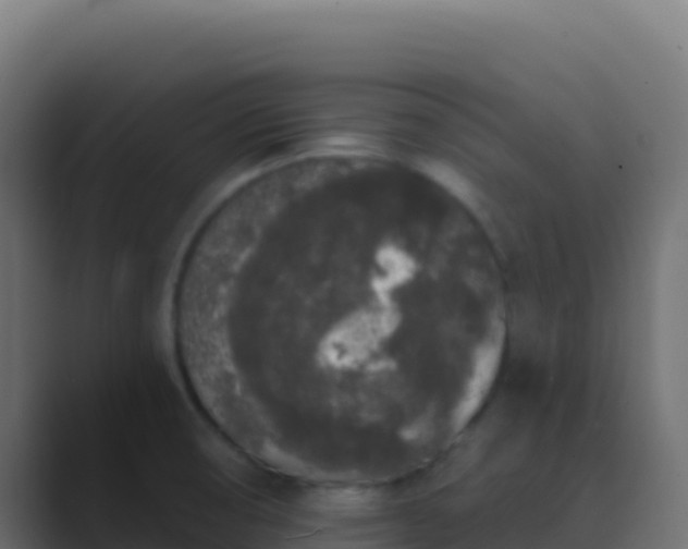 X0000089741474200706281558