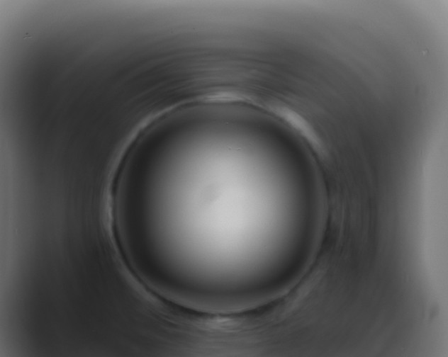X0000089741476200706281558