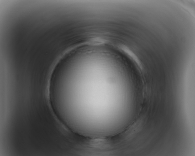 X0000089741477200706281558