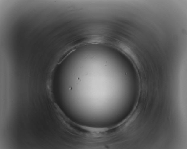 X0000089741481200706281558