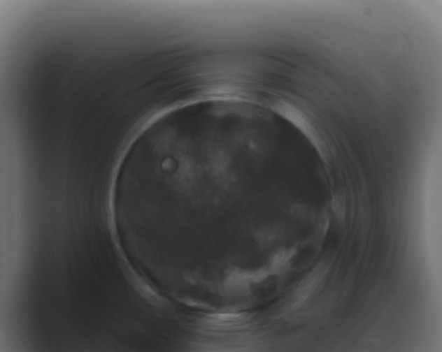 X0000089741482200706281558