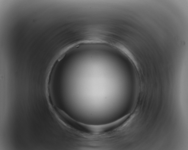 X0000089741485200706281558