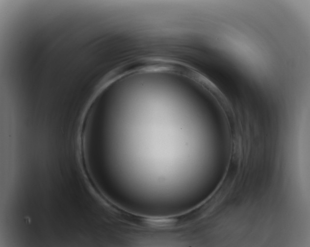 X0000089741487200706281558