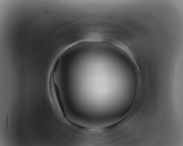 X0000089741488200706281558