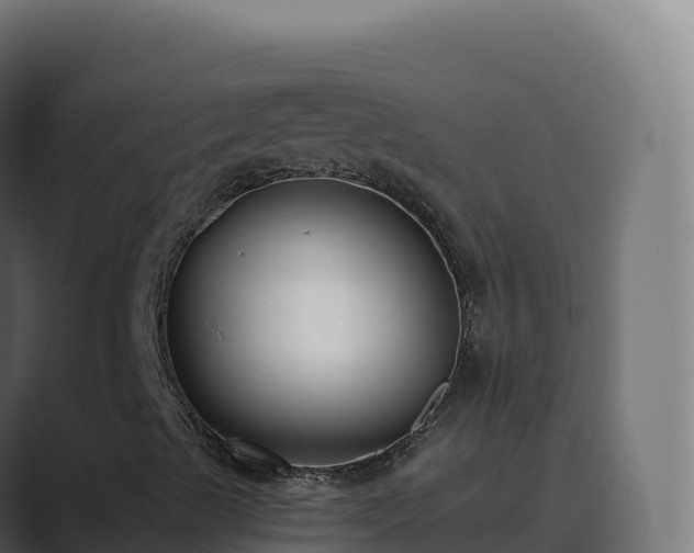 X0000089741489200706281557