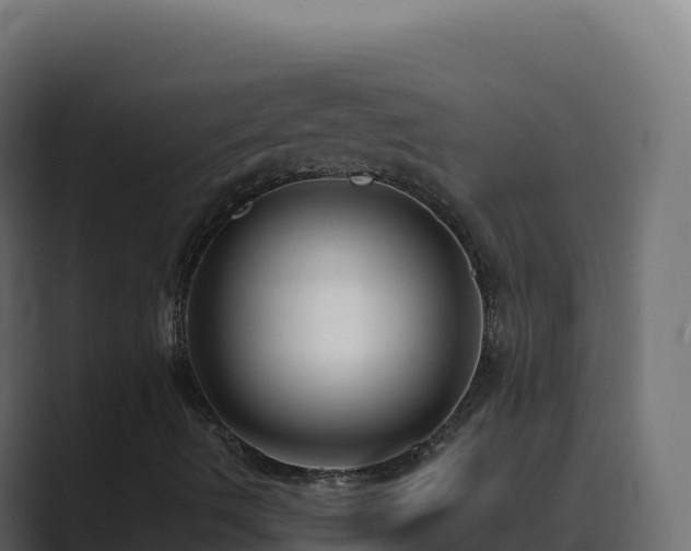 X0000089741490200706281557
