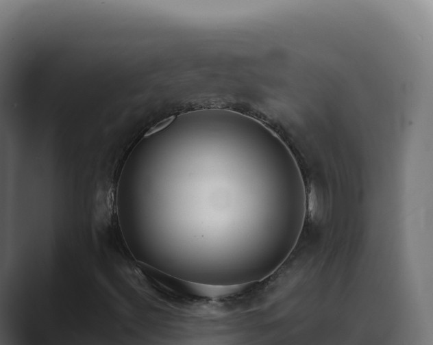 X0000089741492200706281557