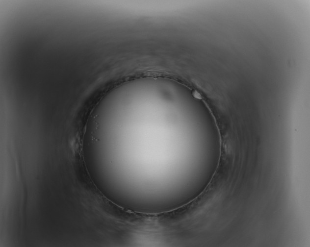 X0000089741495200706281557