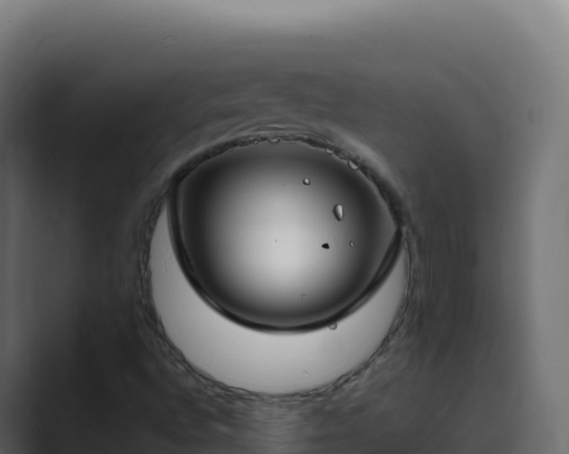 X0000089741496200706281557