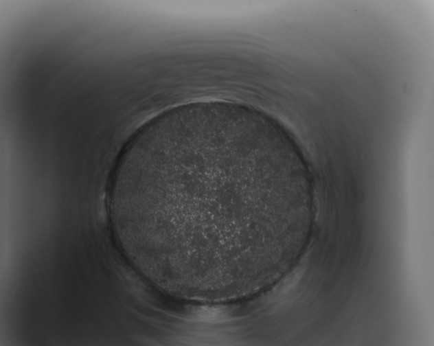 X0000089741497200706281558