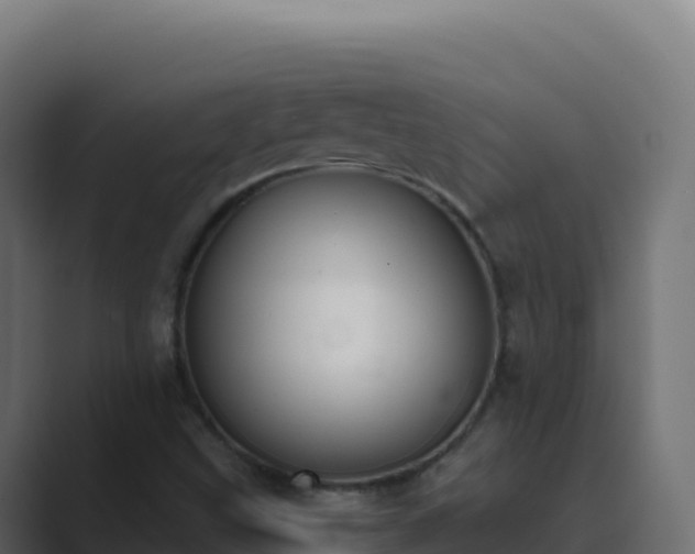 X0000089741499200706281558