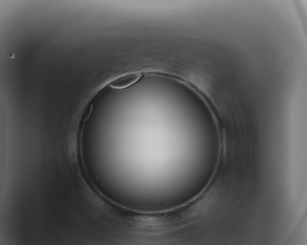 X0000089741500200706281558
