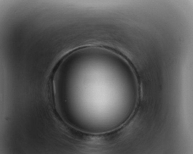 X0000089741501200706281558