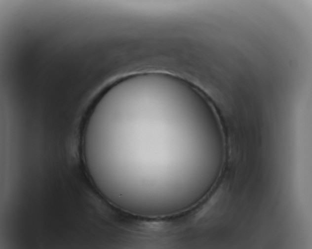 X0000089741502200706281558
