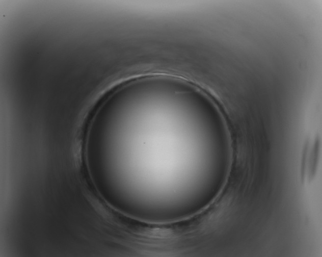 X0000089741503200706281558