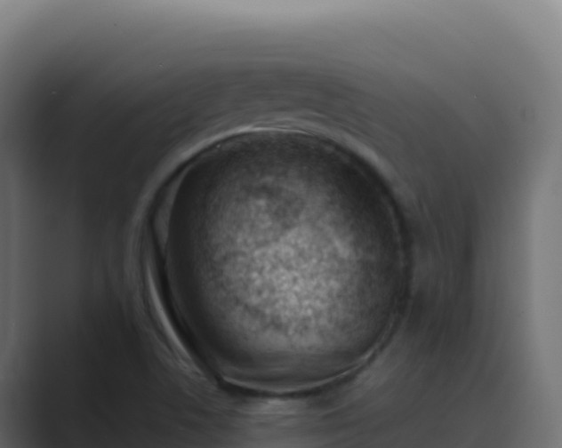 X0000089741506200706281558
