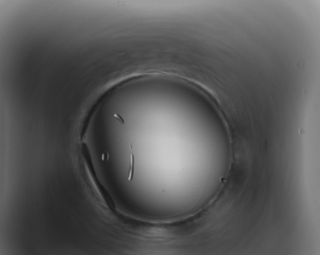 X0000089741507200706281558