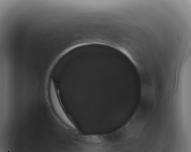 X0000089741508200706281558