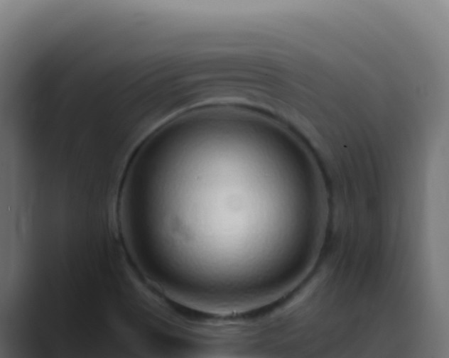 X0000089741513200706281558